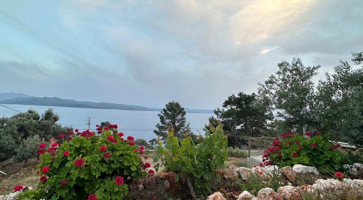akyaka